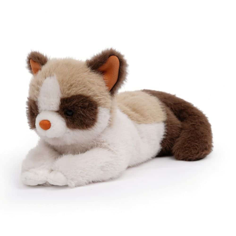 Katze Caramel